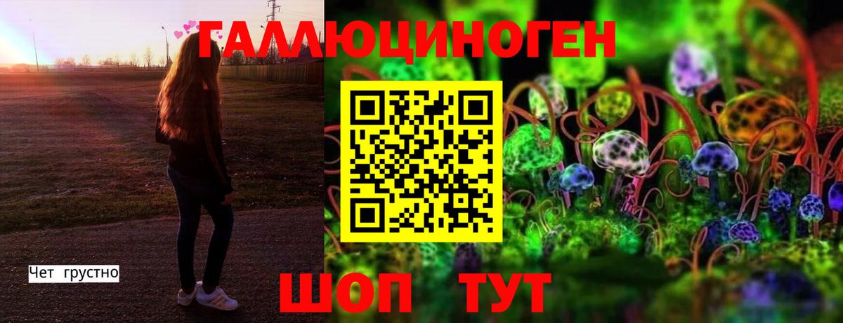 Галлюциногенные грибы прущие грибы Дзержинский